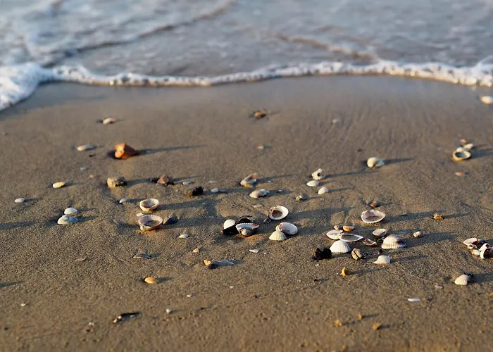 Comfortable With Parking In *